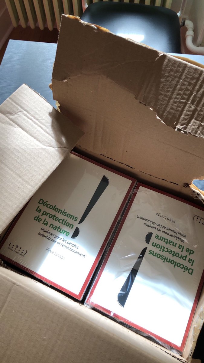 Fiore Longo tweet media