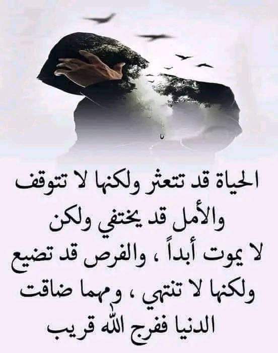 mohamad96725600's tweet photo. @Qee_7 الحياة رحلة وليست سباق وتكالب على الدنيا....لن يصيبنا إلا ما كتبه الله لنا....اقدارنا كتبت ،،واعمارنا قد حددت...فالنمضي بالرحلة ونستخلص منها أن السعادة في الرضا عن اقدارنا ،والتعايش معها شاكرين أنعم الله علينا ،راضين حامدين** https://t.co/WoQSMEQ3im
