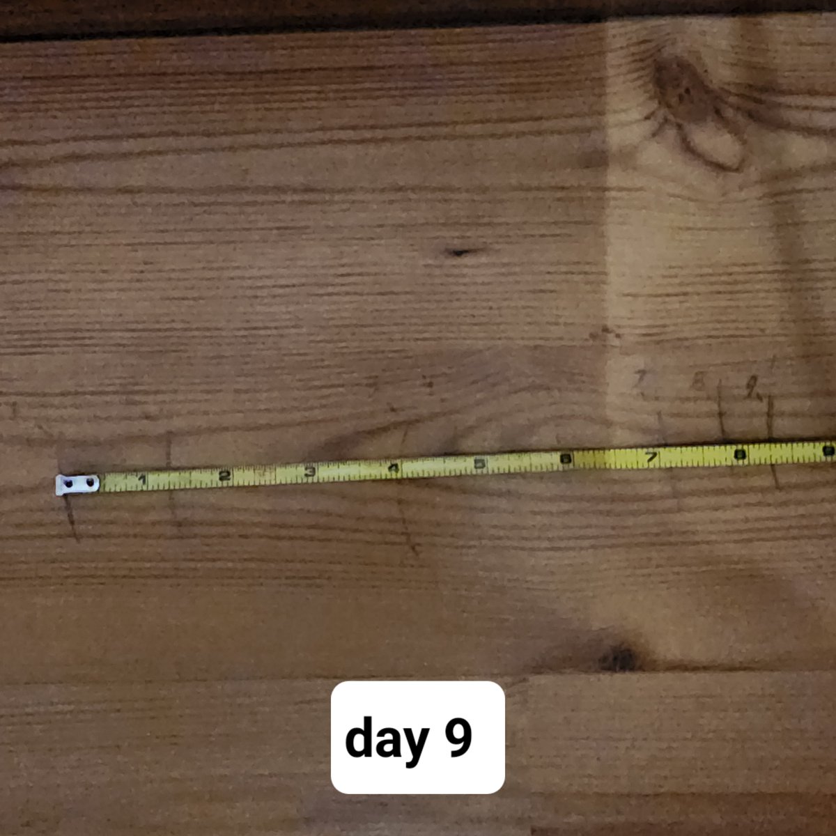 urstraighteight's tweet photo. day 9 progress... gains are getting smaller and stretching routines are getting longer. I suppose it's all part of the process! #stretching #flexibility #splits #splitsprogress #splitsjourney #splitschallenge #yogaeverydamnday #yogalife #yogainspiration #yogaeverywhere #yogalove https://t.co/DreBjDyyXh