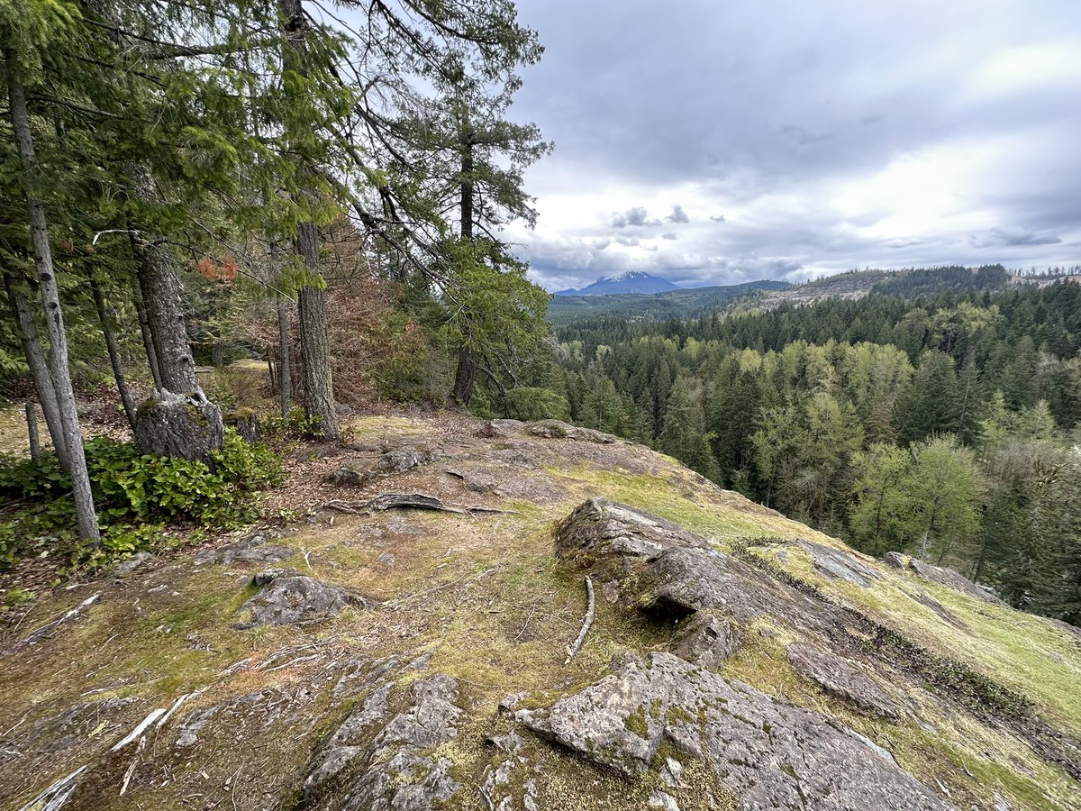 codingwcookie's tweet image. Spent the weekend playing in the woods. 🌲⛰️
