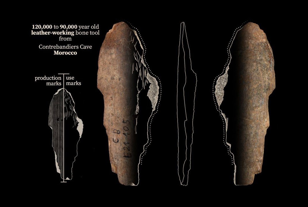 CaraSantaMaria's tweet photo. When did clothing originate?
An archaeologist traces the invention and evolution of apparel using climate data and tailoring tools. 🪡
#Clothing #Archaeology #Tools #AncientClothes #Climate #ClimateData
https://t.co/uu211NpSmm via @SmithsonianMag https://t.co/dJknTZJETX