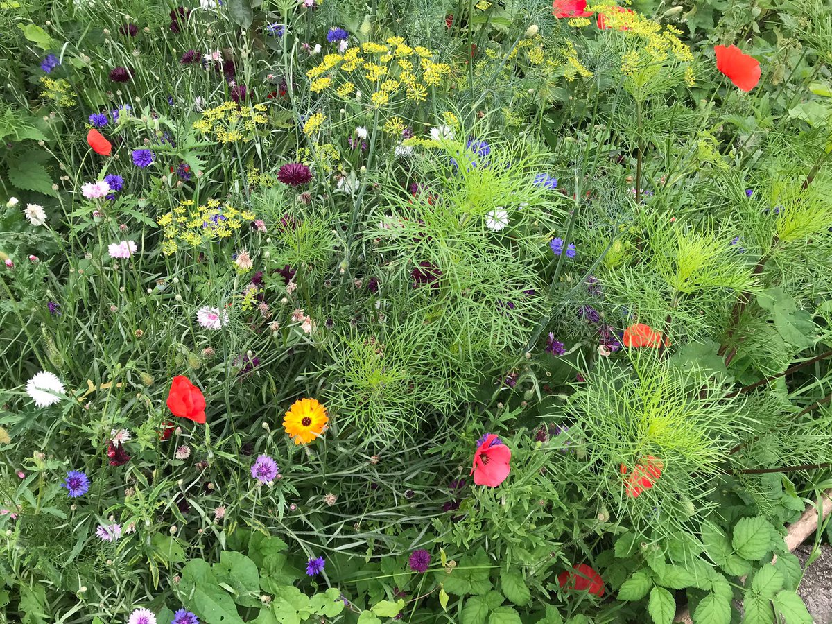 IanGould5's tweet photo. Of shortly 🏊‍♂️ Thoughts/prayers #KeepOnCaringTo18, https://t.co/kicSbgL8r3 and @ResCareTo21 #SeedsOfHope and Seed Sowers, @reviewCSC and Implementation Board and @CareReviewWatch Steering Group and their witness too  💜🙏🌈 https://t.co/edEUenRolk