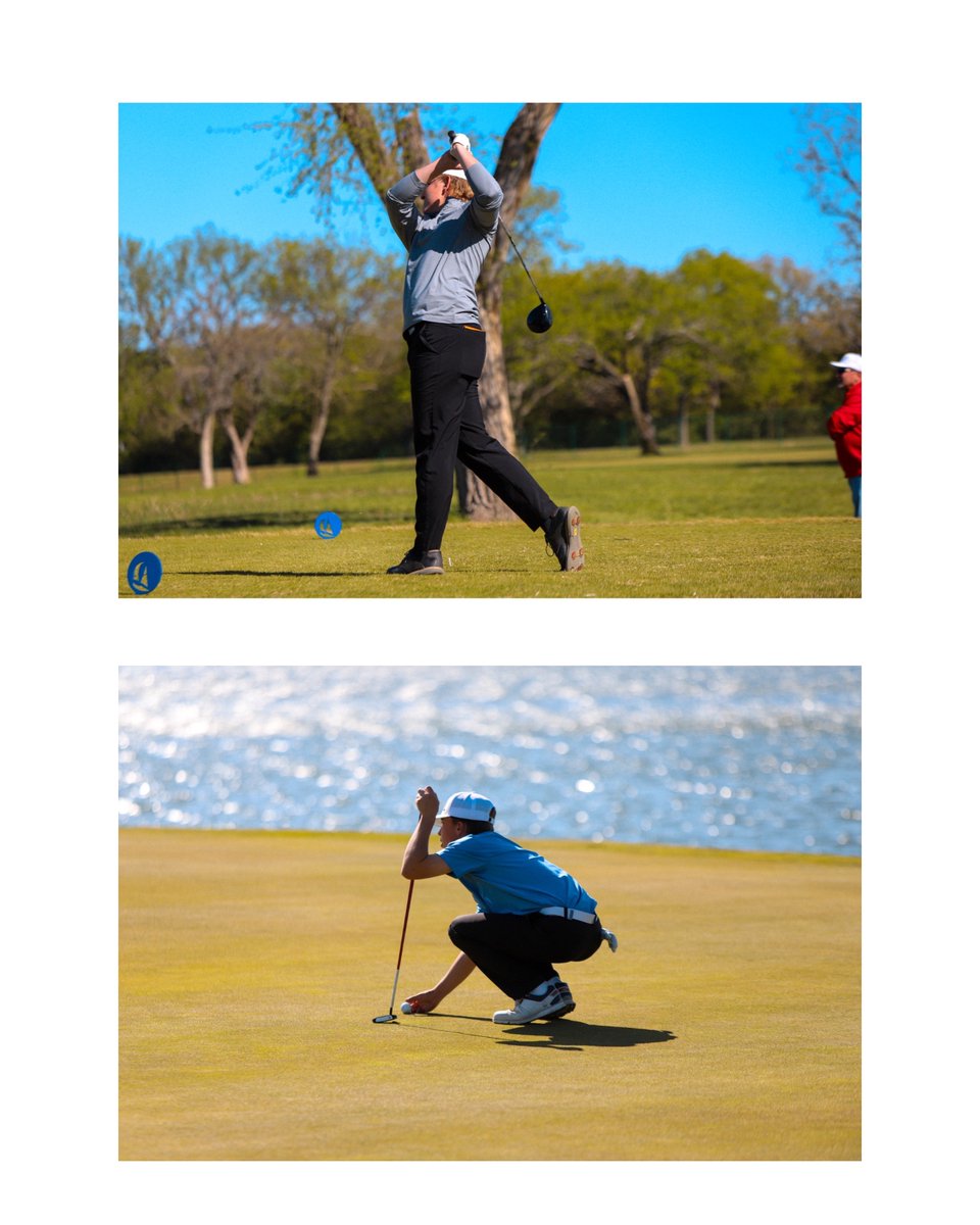 Let.It.fly.media tweet media