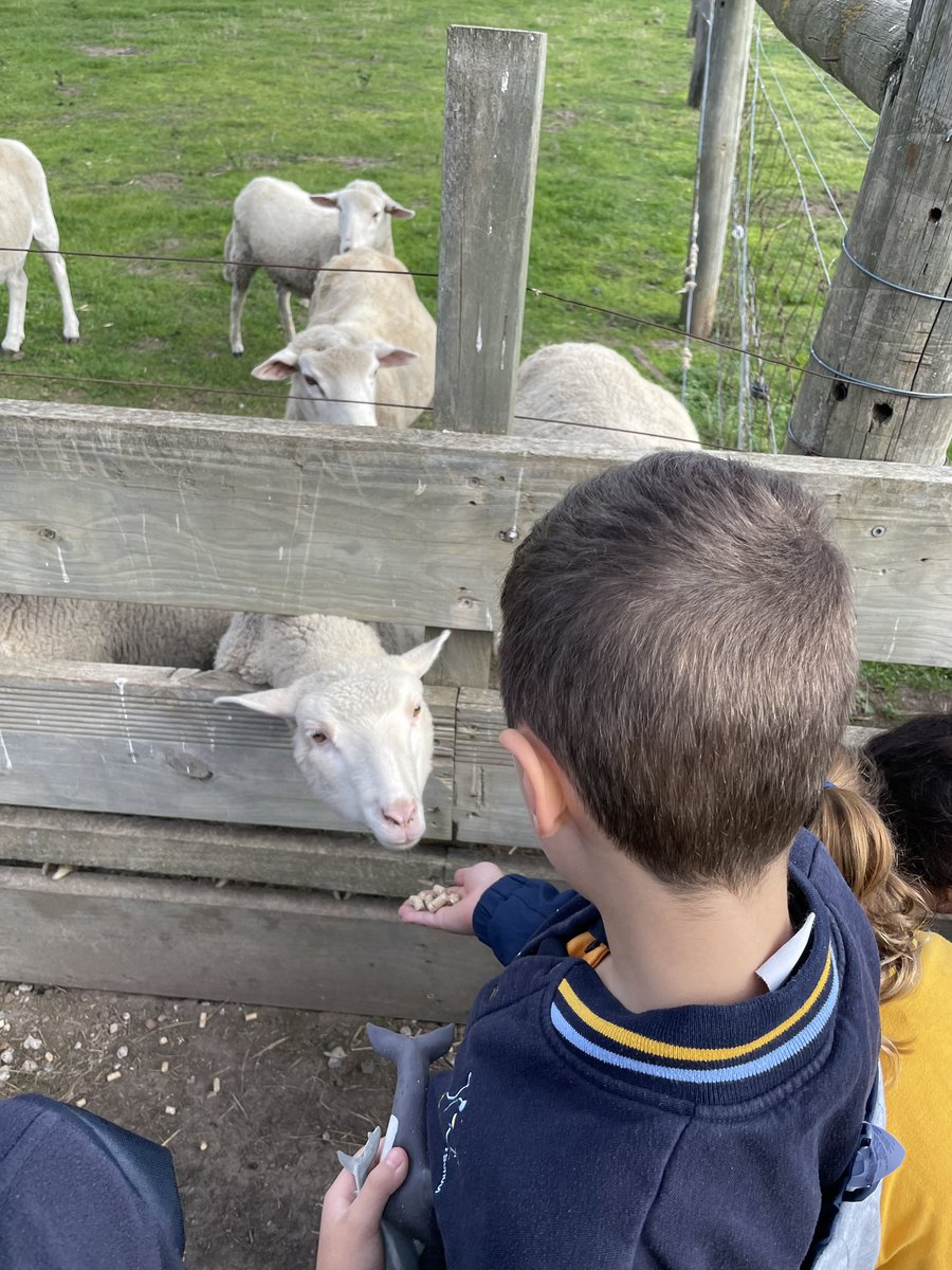 nlpstweets's tweet photo. What a terrific day at Animal Land Children’s Farm! Grade 1s loved every moment! #NLPS #diggersrest https://t.co/kwGq6wXEUl