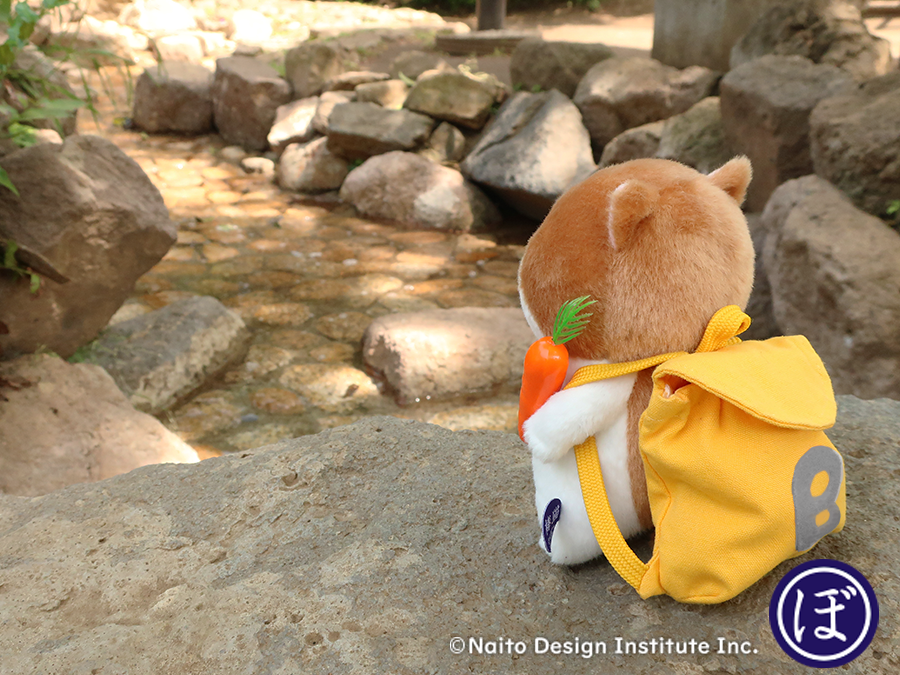 bou__cat's tweet photo. ひとり旅🥕
＃ゴールデンウイーク ＃一人旅 ＃ぼうみたいなねこ ＃猫 https://t.co/ChbJjrnRRj