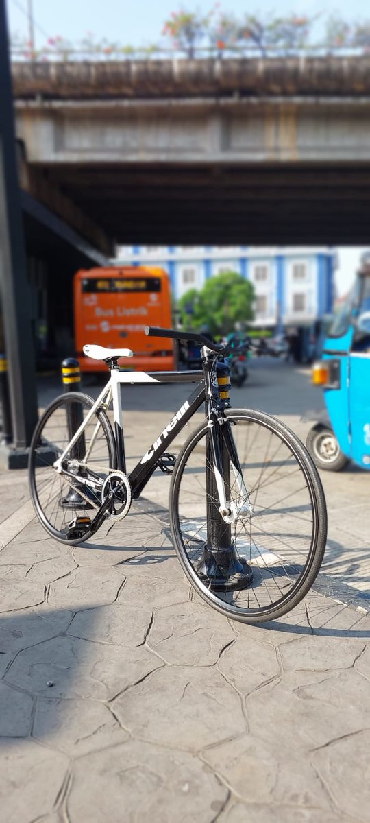 Rizki ☮ tweet media