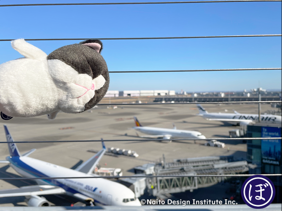 bou__cat's tweet photo. ぶーーん✈️
＃ゴールデンウイーク  ＃旅 ＃ぼうみたいなねこ ＃猫 https://t.co/Nj6vrRY81I