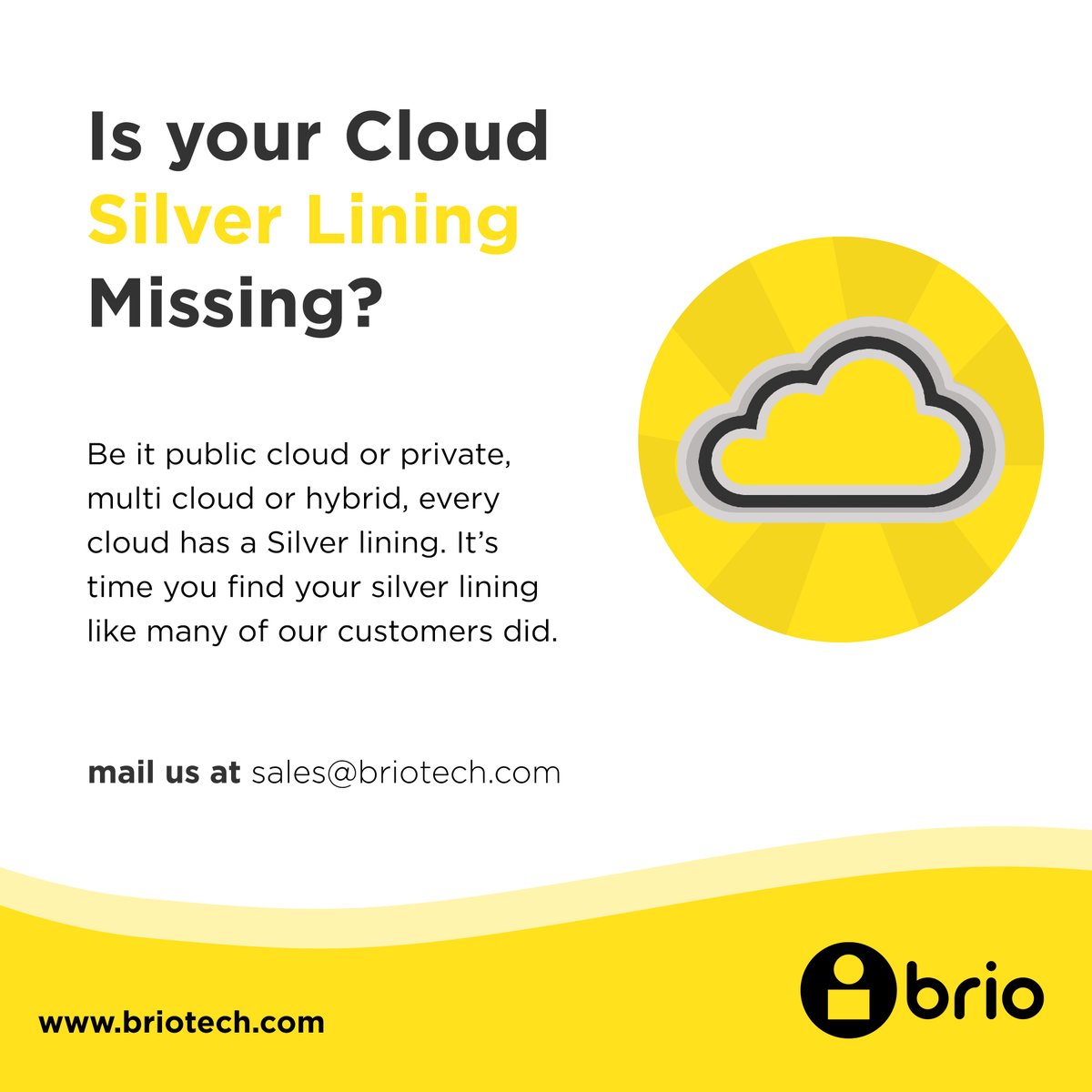 briotech tweet media