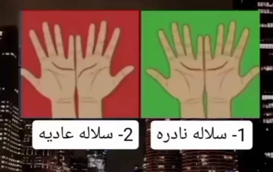 ScreenMix's tweet photo. أي سلالة فيهم أنت؟ https://t.co/QqAzzYkJfn