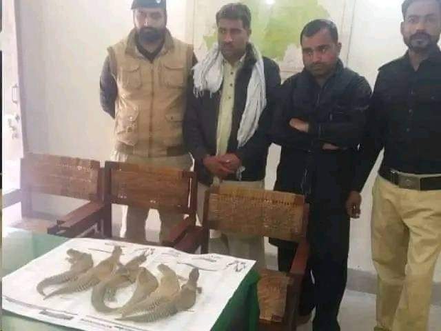 Usmanal15235090's tweet photo. سانڈے کا تیل نکالنے والے پکڑے جاتے ہیں لیکن قوم کا تیل نکالنے والے کبھی نہیں پکڑے گئے ۔کیوں؟#ARYNwez #Faizen https://t.co/FBsNRBvLiL