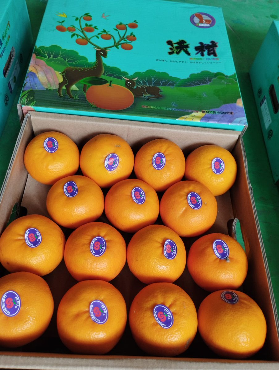 FruitDay tweet media