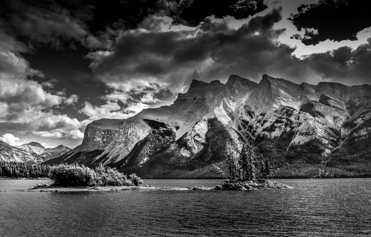 The #CMRoachPhotos shop will close at 11:59pm on May 31, 2023. Now’s the time to get your last purchases in - prices on the shop reduced by around 25% to say thanks!

Want to browse the pictures for sale: head to 
cmroachphotography.ca/buypictures
