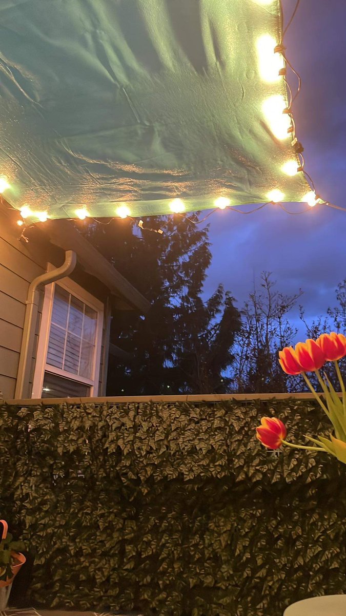 Tasha_danielle6's tweet photo. Healing my inner child one patio nap at a time. 🌕🌗 https://t.co/wmc2Qu8d6T