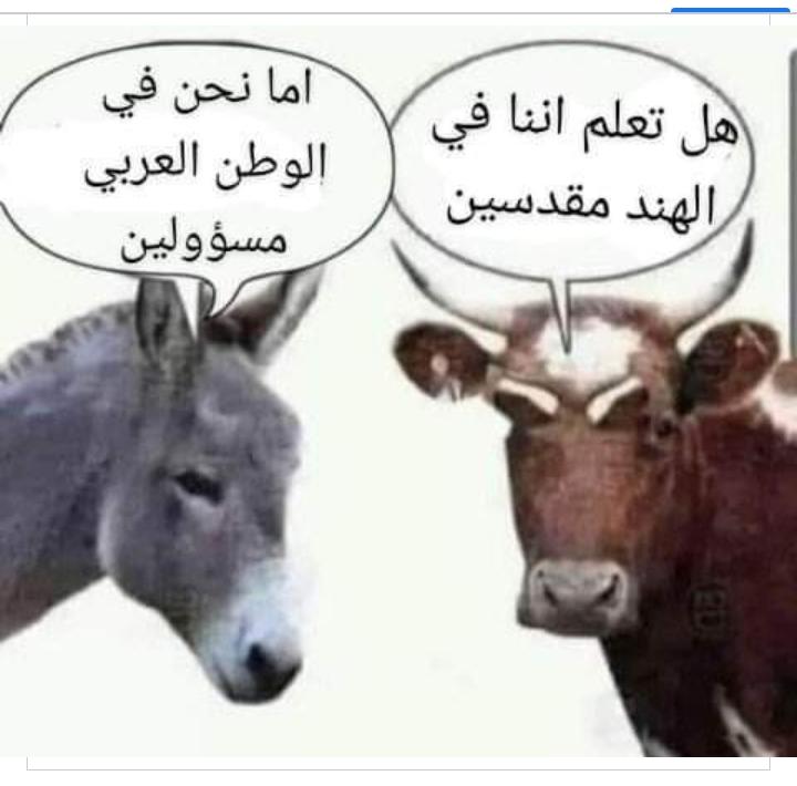 اقول جابها صح.  
وشكرا لل الاحرار الابطال من العرب فقط يكفي مجامله