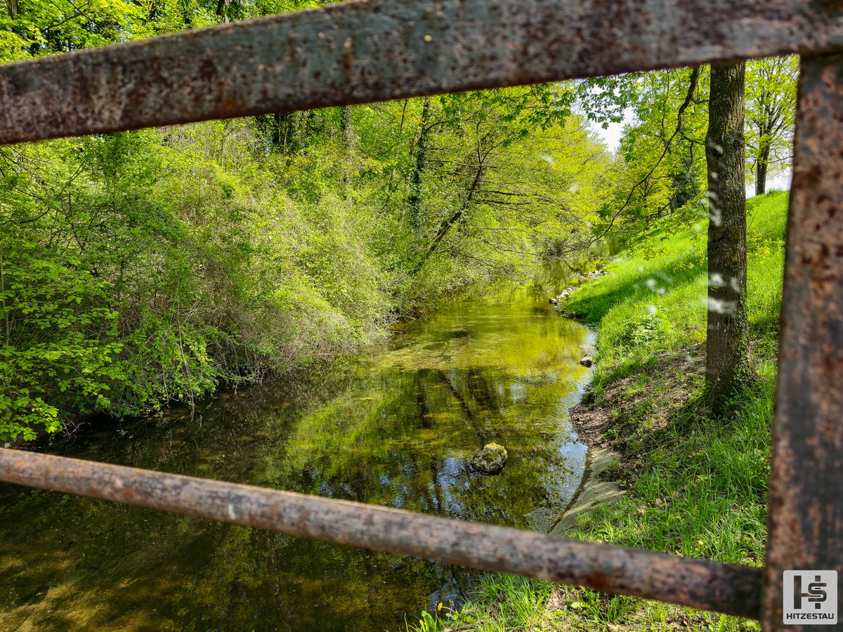#picoftheday #photooftheday #imageoftheday

Small sunny river #Alsace

#SamsungGalaxyS23Ultra #Samsung #photography #mobilephotography #smartphonephotography