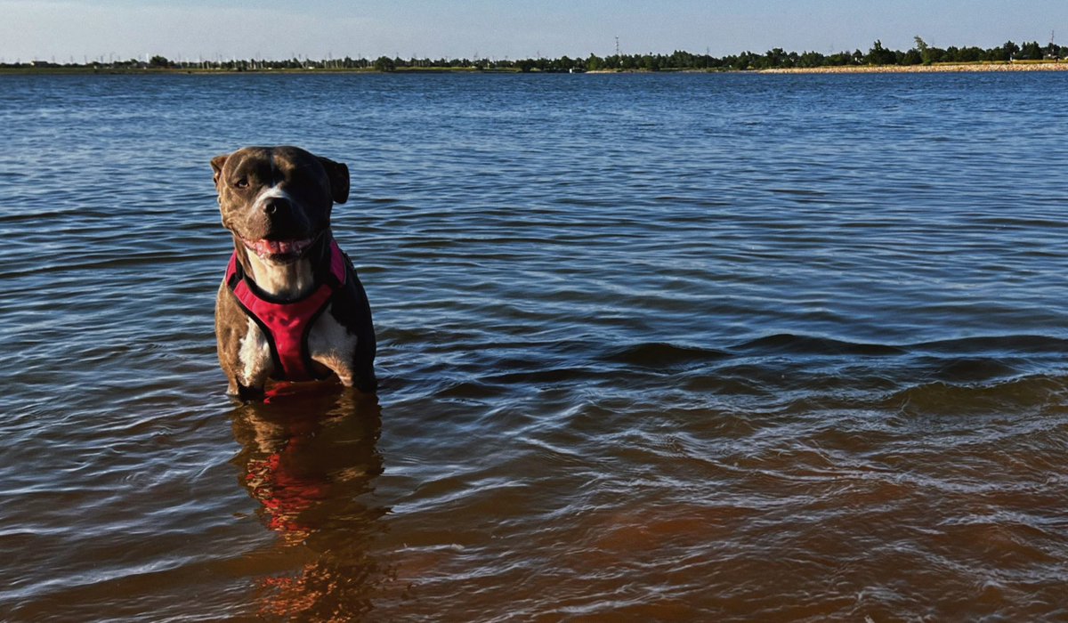 reallyhighc's tweet image. I miss you so much 💔