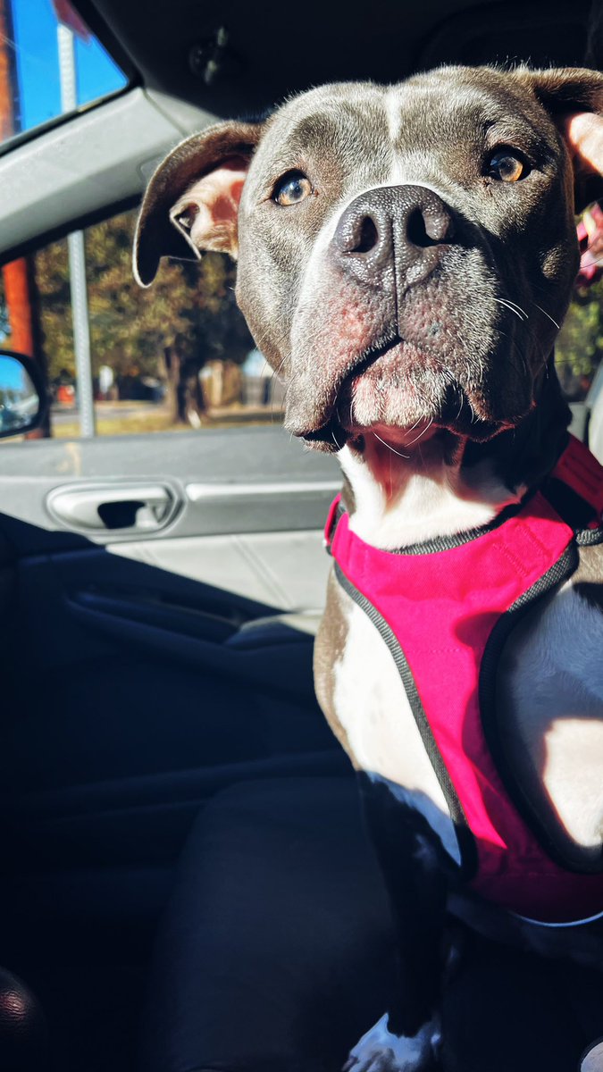 reallyhighc's tweet image. I miss you so much 💔