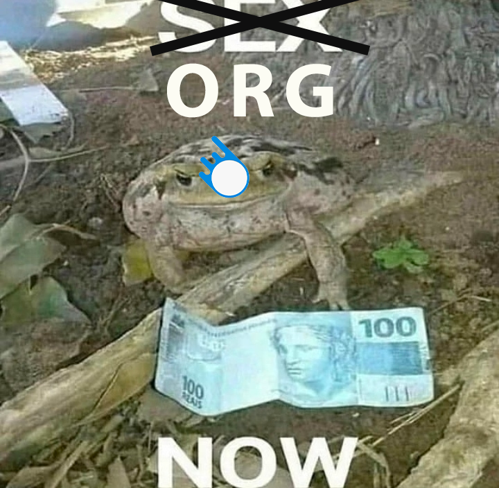 SnowfallRLCS's tweet image. 