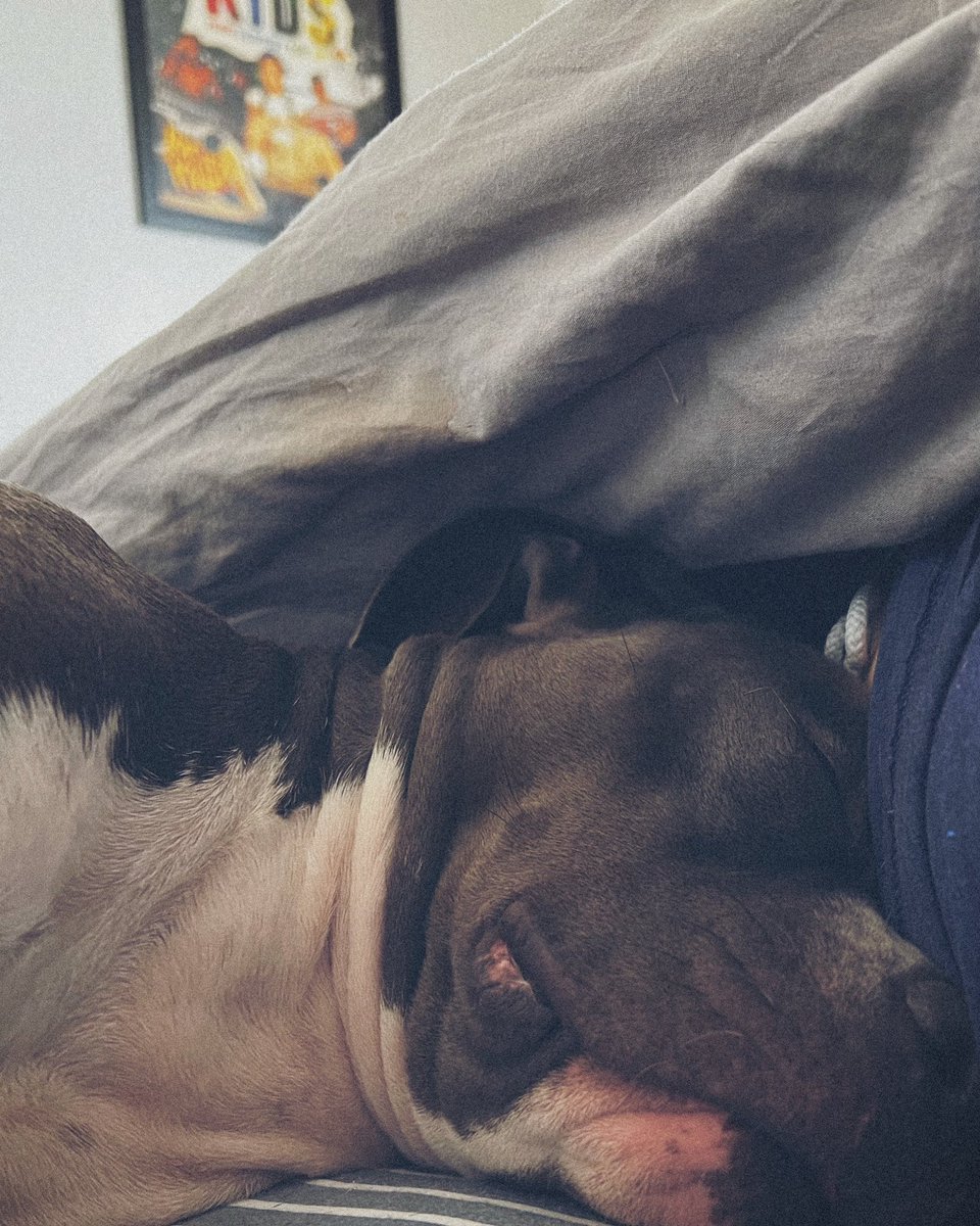 reallyhighc's tweet image. 😭😭