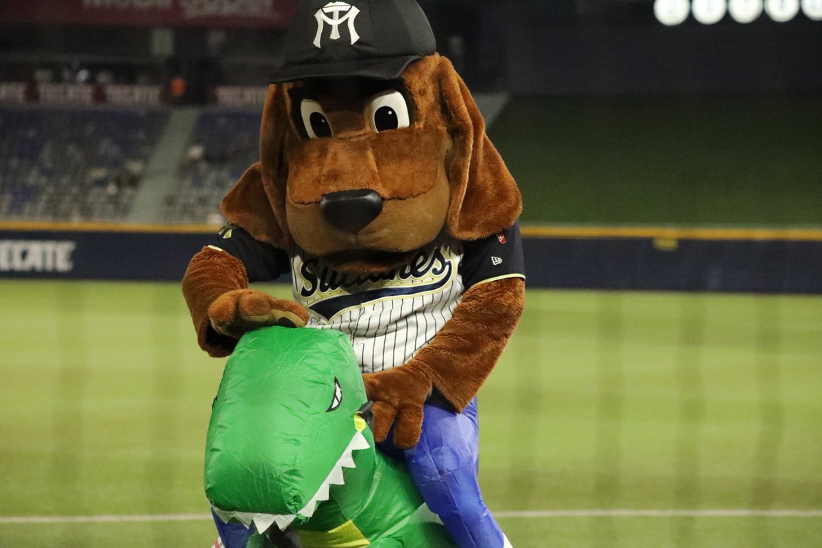 Perrosultan's tweet photo. ¡Un clásico! 🦎🤣🤣 https://t.co/QoPyAmS1IC
