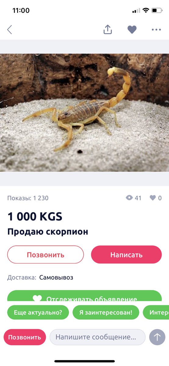 Че только не продают в лалафо