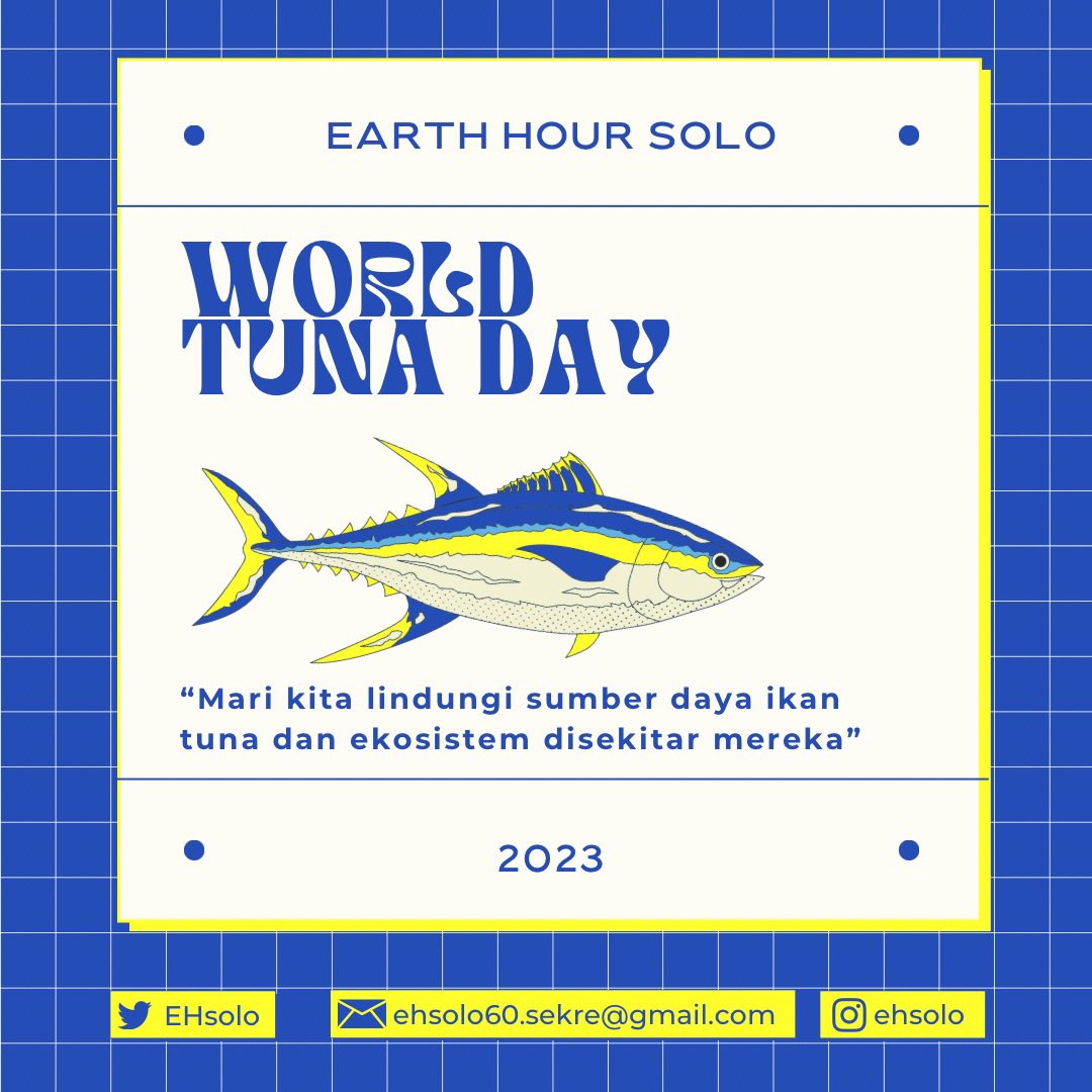 Earth Hour Solo tweet media