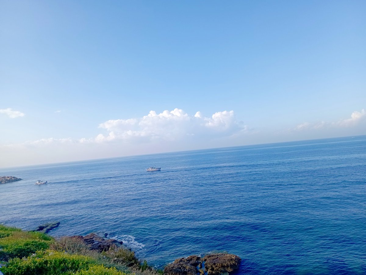 Bushra_saleh_10's tweet image. 🌊⛵🌊🌊☁️🐚 بحر جبلة 
A deep breath while walking along the beach can feel so good and make you instantly feel better. that&apos;s how I recharge my batteries today 😅 before starting the lessons 📚 ❤️ wishing you all a great day ☁️🌻

#sea
#jableh
#جبلة