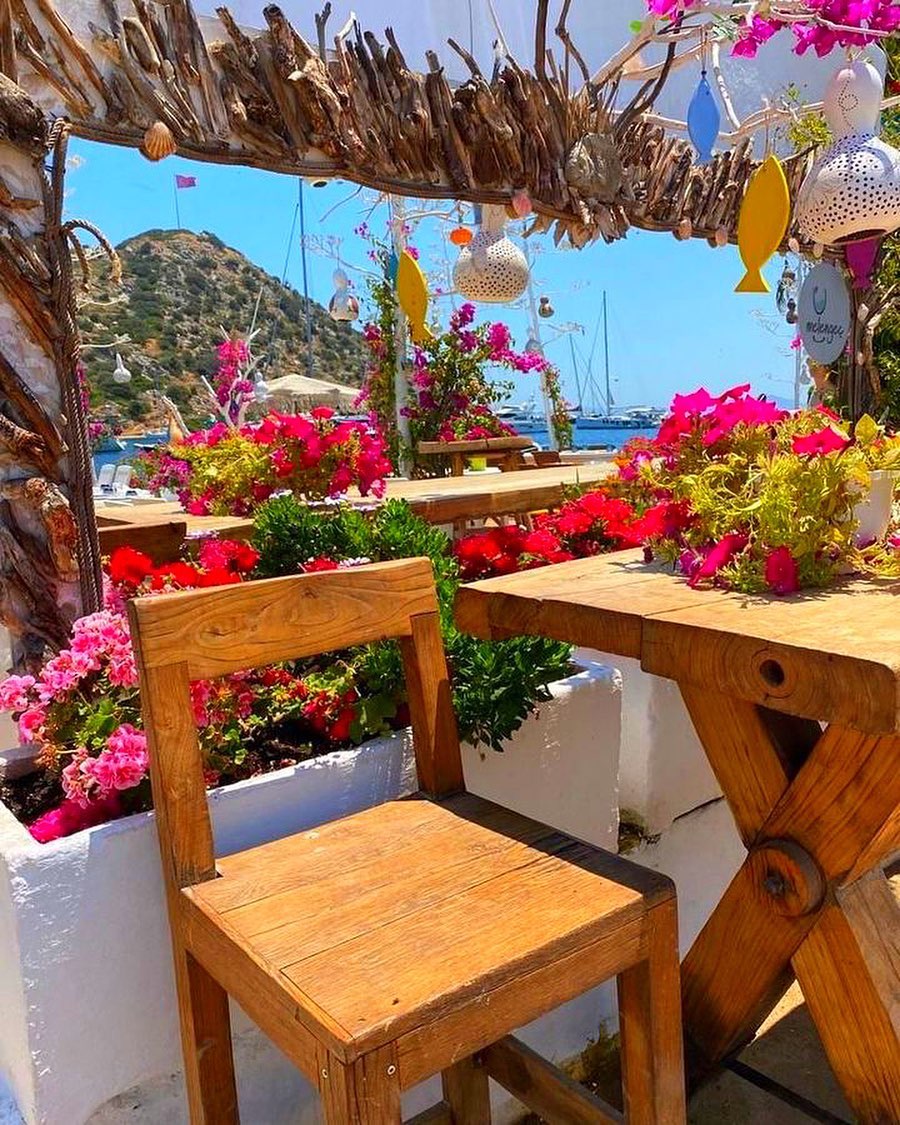 Akın Savaş tweet media