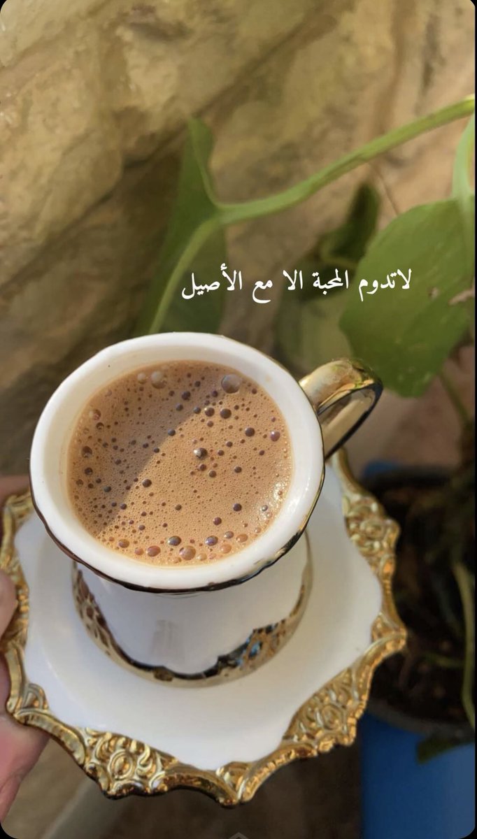 صباح الخير 🌹