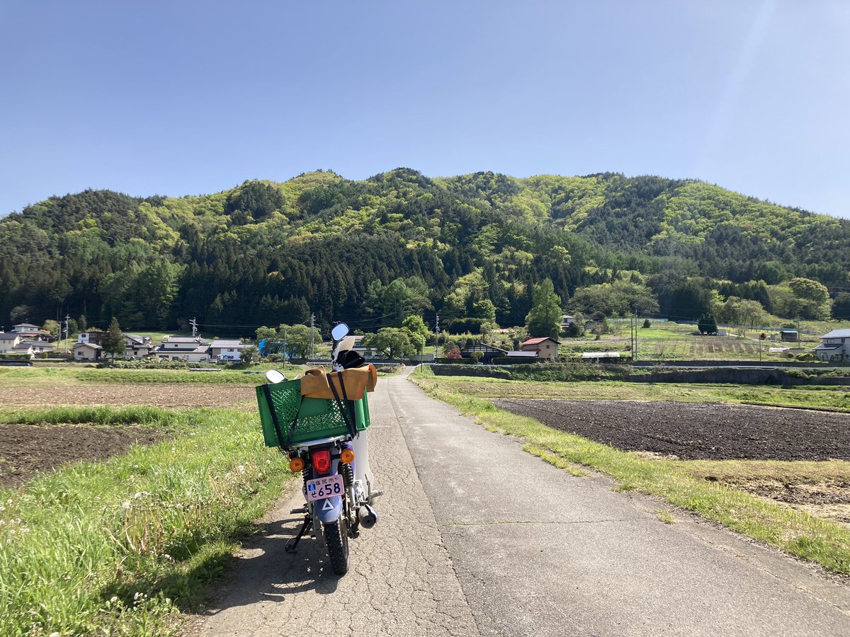 noripunk1211's tweet photo. みどり色が鮮やかにになってきたなぁ♪

あぁ、早く武道館行きたい...

#TheStreetSliders #Hello #onthestreetagain https://t.co/d8rP3eJPR2