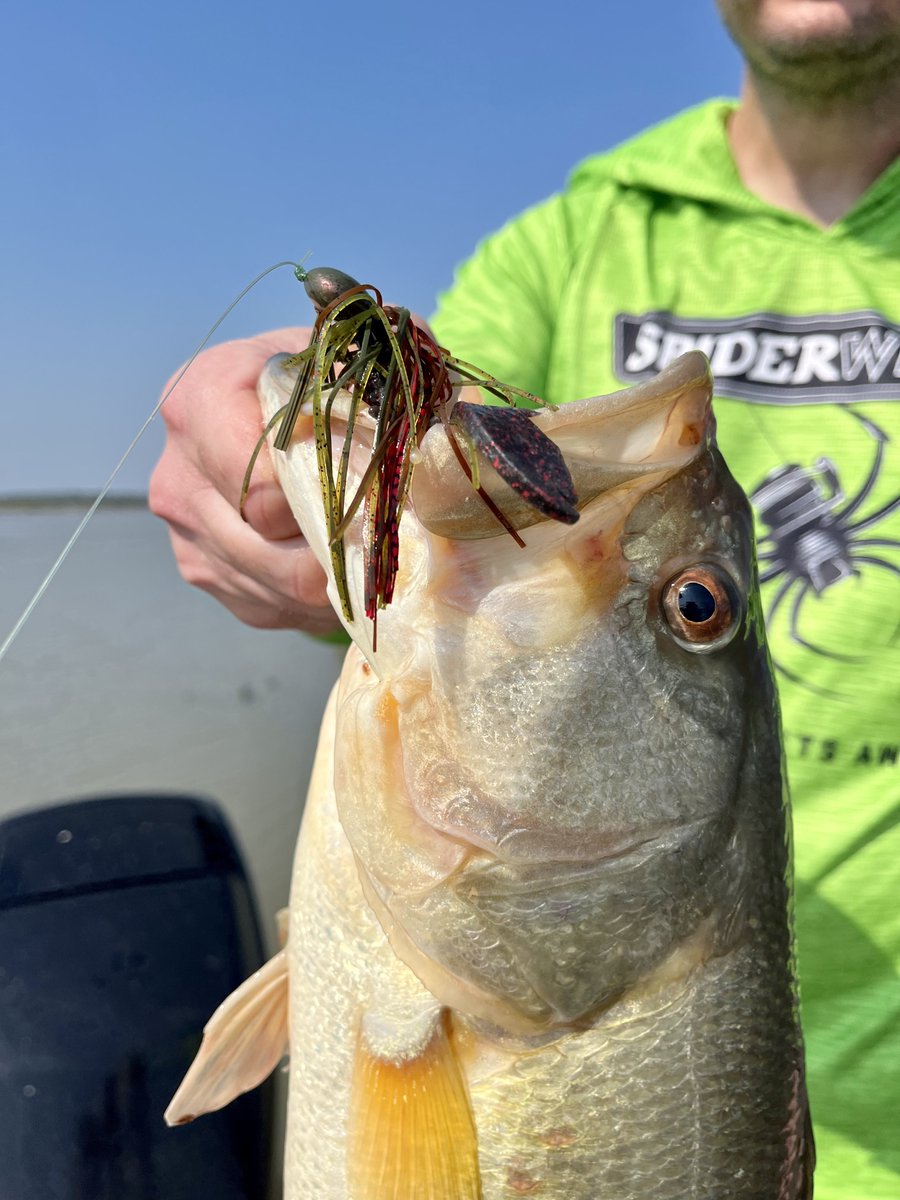 michael__cronje's tweet photo. Gotta love a good jig bite. 🎣 Let’s hear in the comments which jig and trailer you think I used 👇🏼 

#jigfishing #jigbite #bassfishing #fishing #fishinglife #fishingtrip #bigbass https://t.co/2IXwZ85b6O