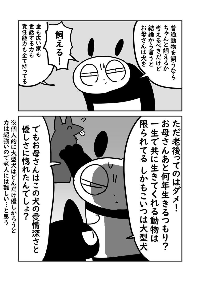 犬と母の出会いの物語 2/2