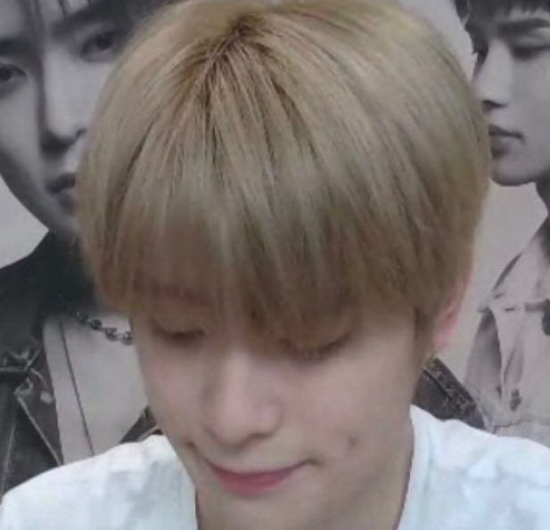 แมวดำ                                          แมวส้ม