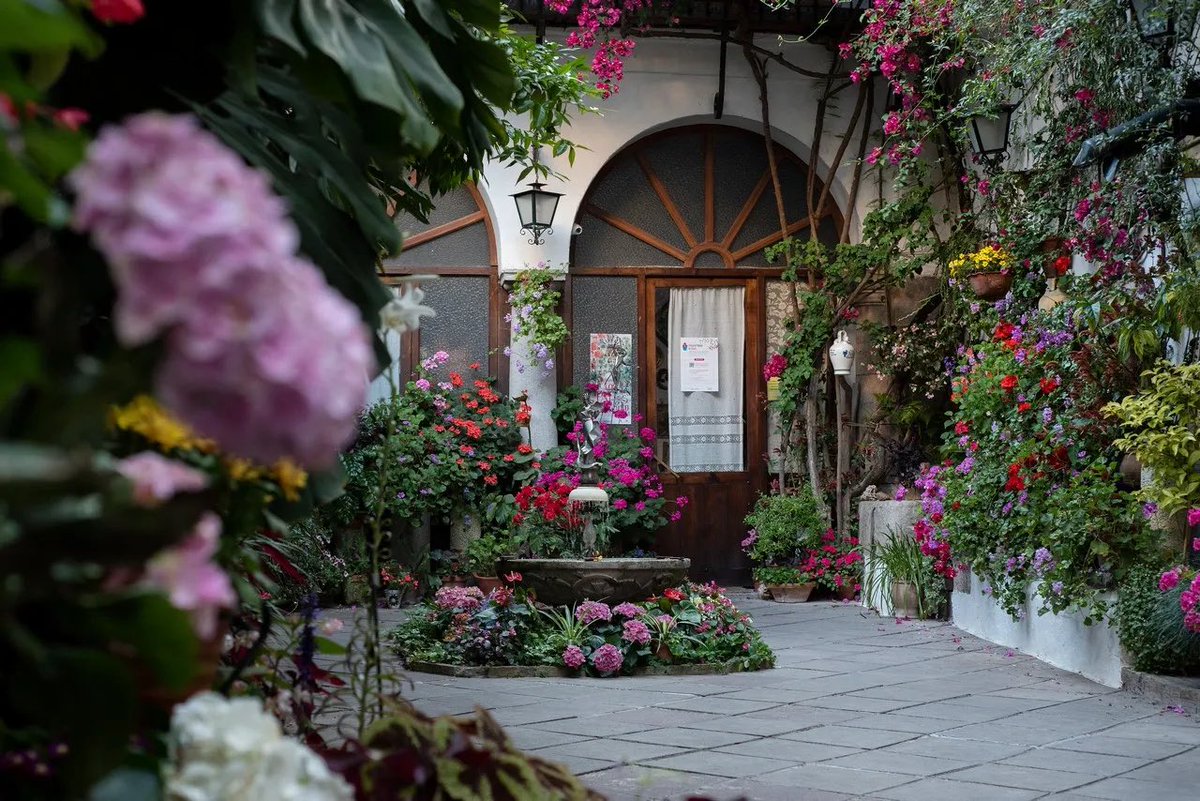 Flower explosion, Patios de Córdoba, UNESCO heritage, colorful time to enjoy the  beauty of these charming houses ! #spring #flower #patiosdecordoba #cordoba @viveandalucia @spain @dynamicpartner