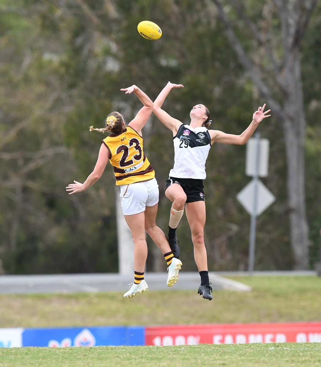 SouthportSharks's tweet photo. The senior women’s team secured another win on Saturday 🦈

Better luck next time to the reserves.

#qaflw #southportforever https://t.co/KYMeA450Fp