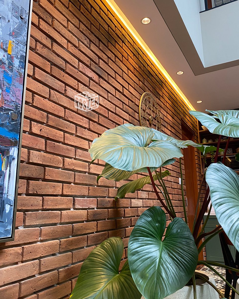 tokorosterbsd's tweet photo. Bata Tempel GPS Jumbo terlihat natural, cocok untuk konsep bangunan kamu yang ingin membuat konsep tropical industrial 🥰

Swipe postingan diatas untuk lihat inspirasi hasil pasang Bata Tempel GPS Jumbo 😍
__
Omahbata tempat cari Bata &amp; Roster #No1 di Indonesia. https://t.co/t1Z0RRqL5V