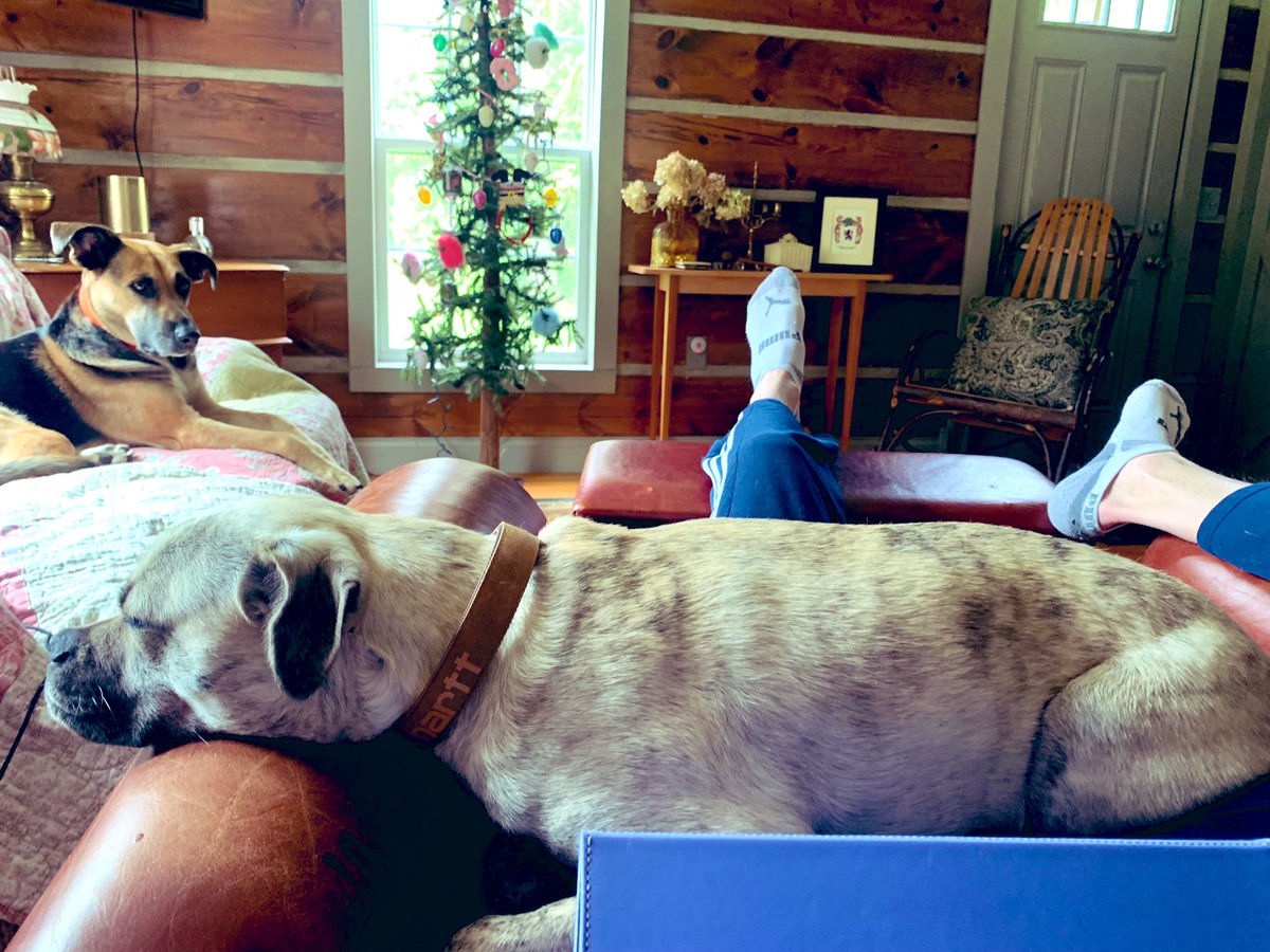 I’m pretty comfy in dads lap. Arm rests rule.