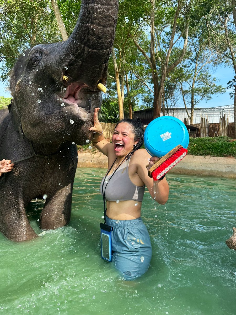 nette_1235's tweet photo. Thailand Adventure 😍🐘🇹🇭 https://t.co/iiSVPp3tzK