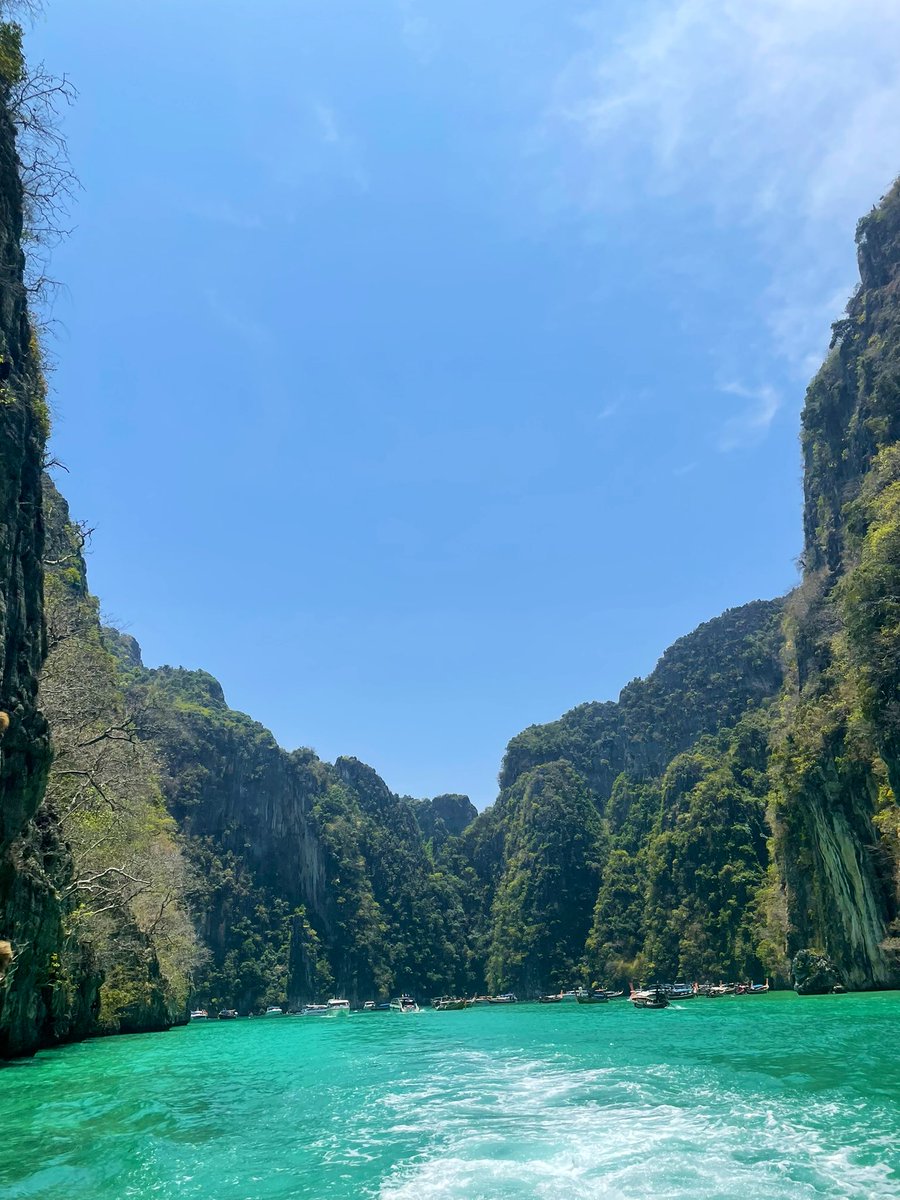 nette_1235's tweet photo. Thailand Adventure 😍🐘🇹🇭 https://t.co/iiSVPp3tzK