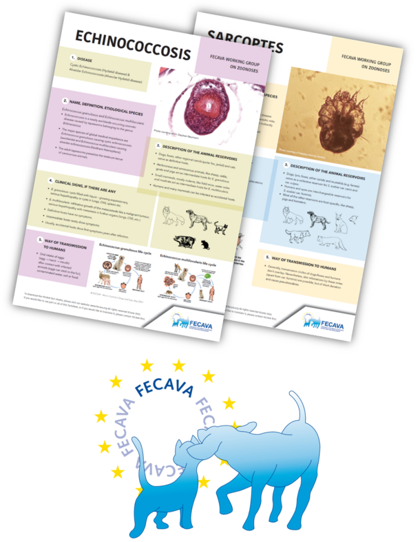 ESCCAP's tweet photo. #FECAVA fact sheets re:#zoonoticdiseases transmitted from small animals to humans (2 of which feature #ESCCAP's life cycles) titles include echinococcosis, dermatophytosis, bartonellosis, Sarcoptes & toxoplasmosis 🌐 https://t.co/mrGQRLYMkK #zoonotic #diseases @FecavaVets https://t.co/WnYdTz8hBc
