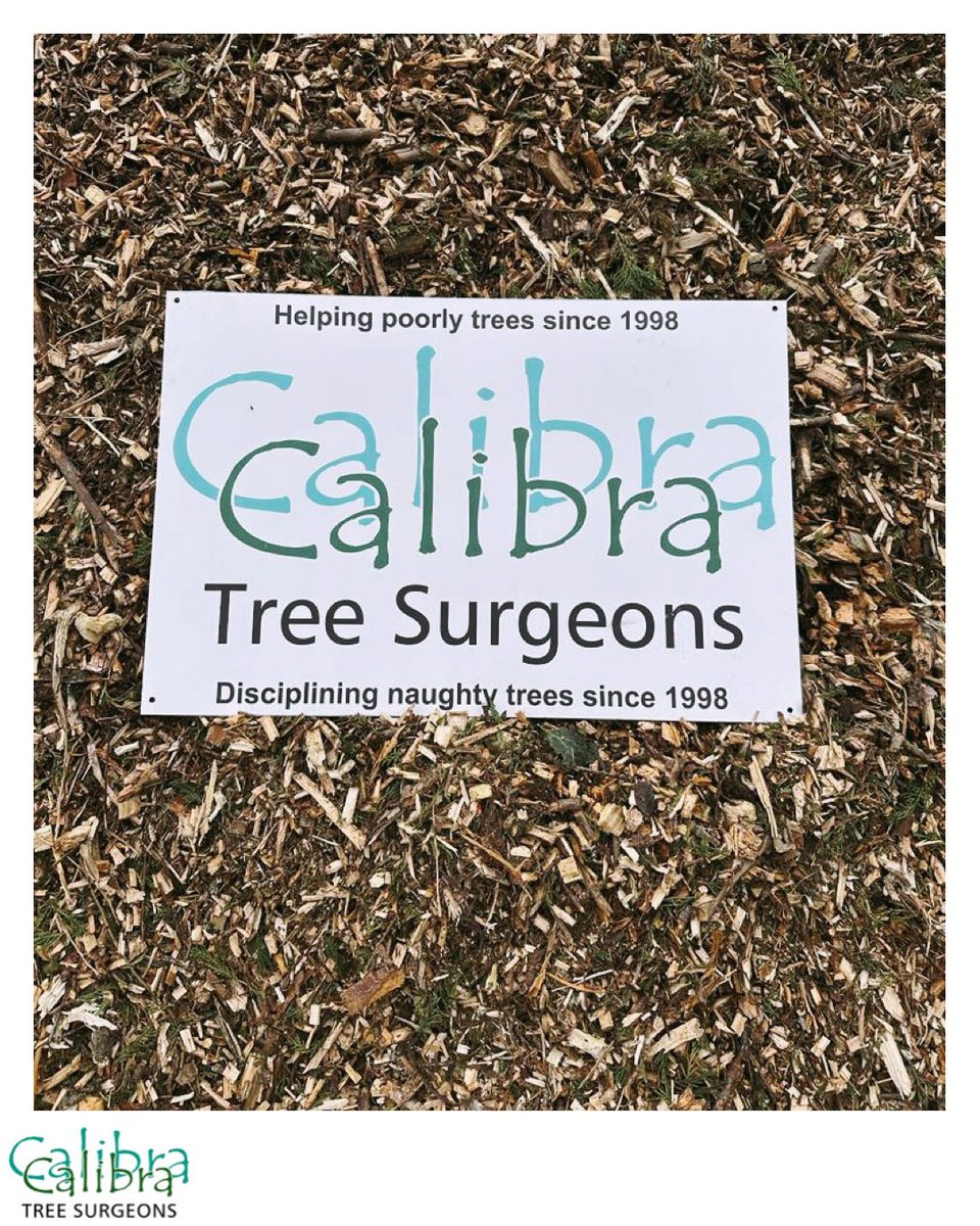 Fancy £50? 

We are serious! 

Message us to find out how :) 

#calibra #treesugeons #bracknell #berkshire #hampshire #hertfordshire