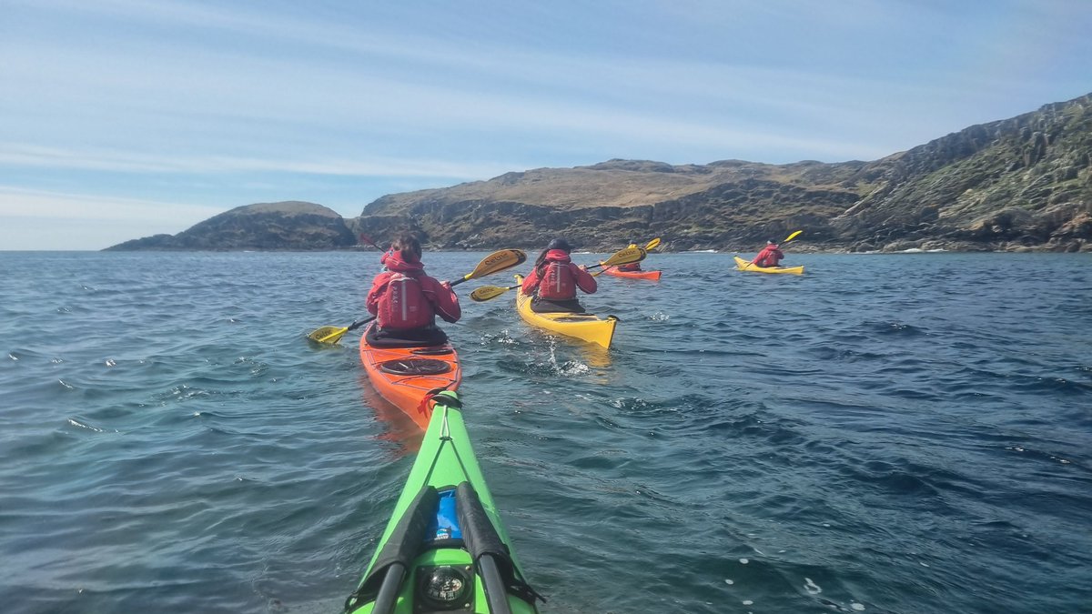 Malcolm O'Reilly tweet media