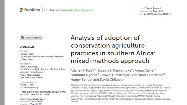BusyBeeChris's tweet photo. Adoption of @ConservationAg in #Malawi, #Zambia and #Zimbabwe has been the story of my life. Please find newest article analyzing progress and challenges by @IITA_CGIAR and @CIMMYT with generous funding from @noradno. This work will now be expanded under  the @CGIAR #UUInitiative in Eastern and Southern Africa. https://t.co/KPe7ElIeIJ

@Inga_JM @BMhlanga4 @IWMI_SouthernZA @IWMI_EastAfrica @bramaccimmyt @Sieg_SAS