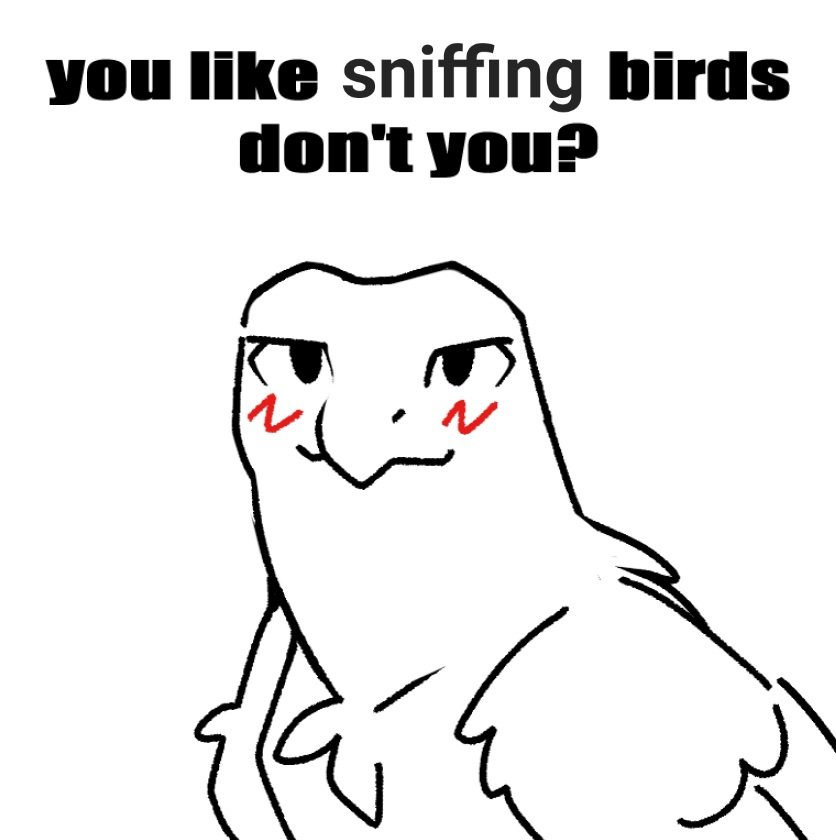 OiseauBlizzard's tweet photo. bird owners know https://t.co/6AstdgDYCO