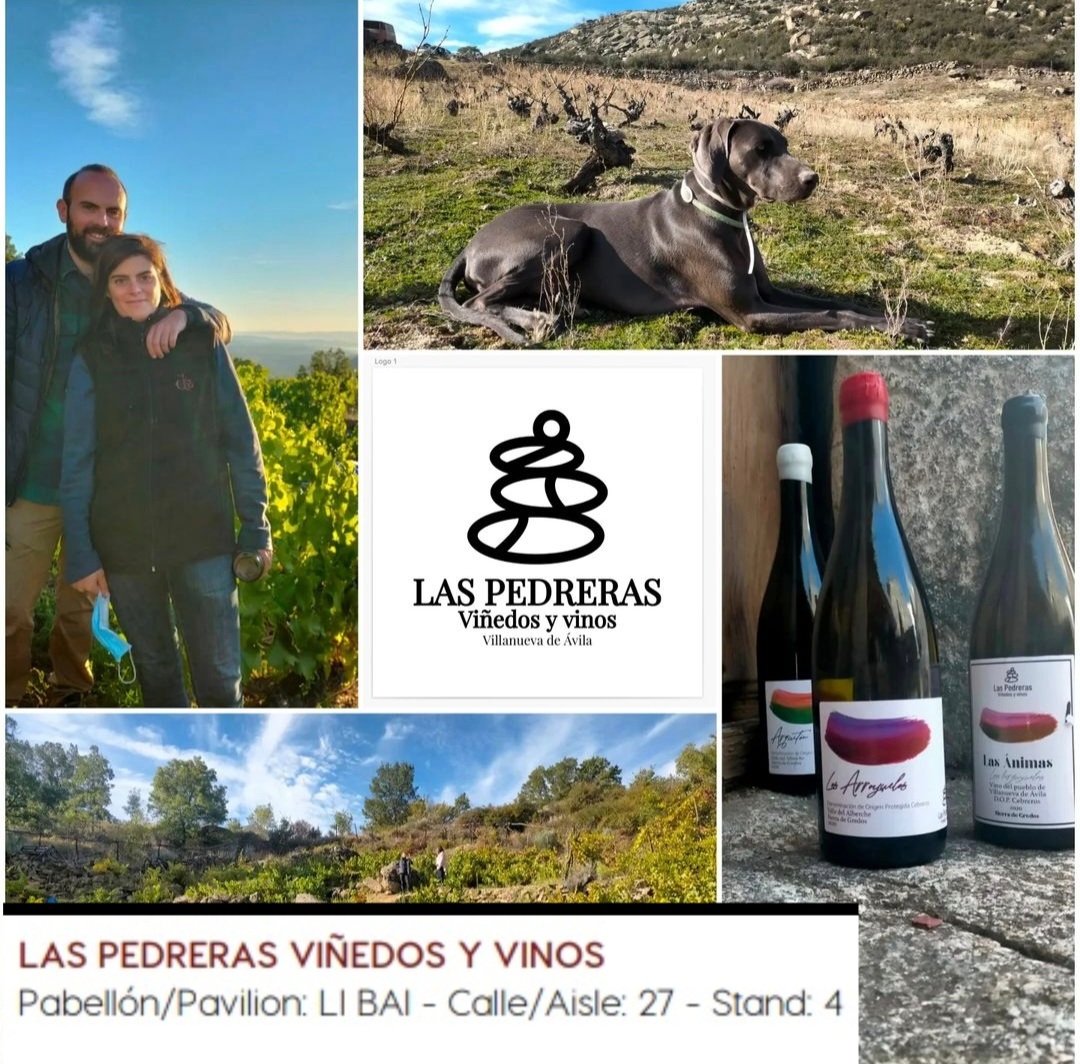Las Pedreras Vinos y Viñedos Pabellón LI BAI, Pasillo 27, Stand 4 #fenavin2023 #artisanwineattraction