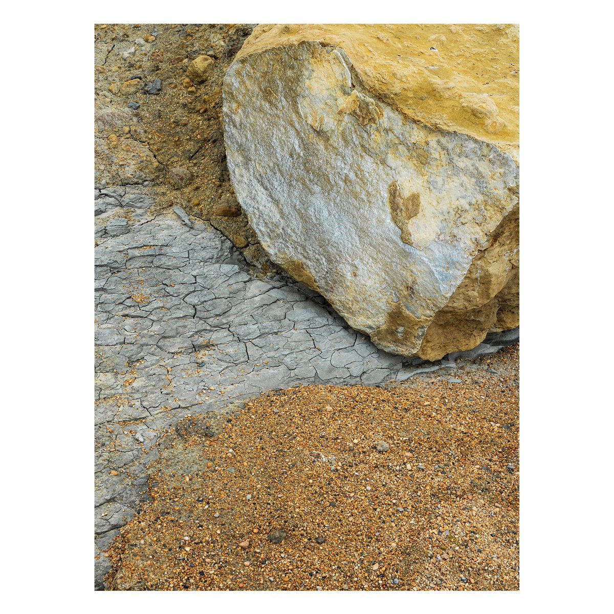 Sam Gregory tweet media