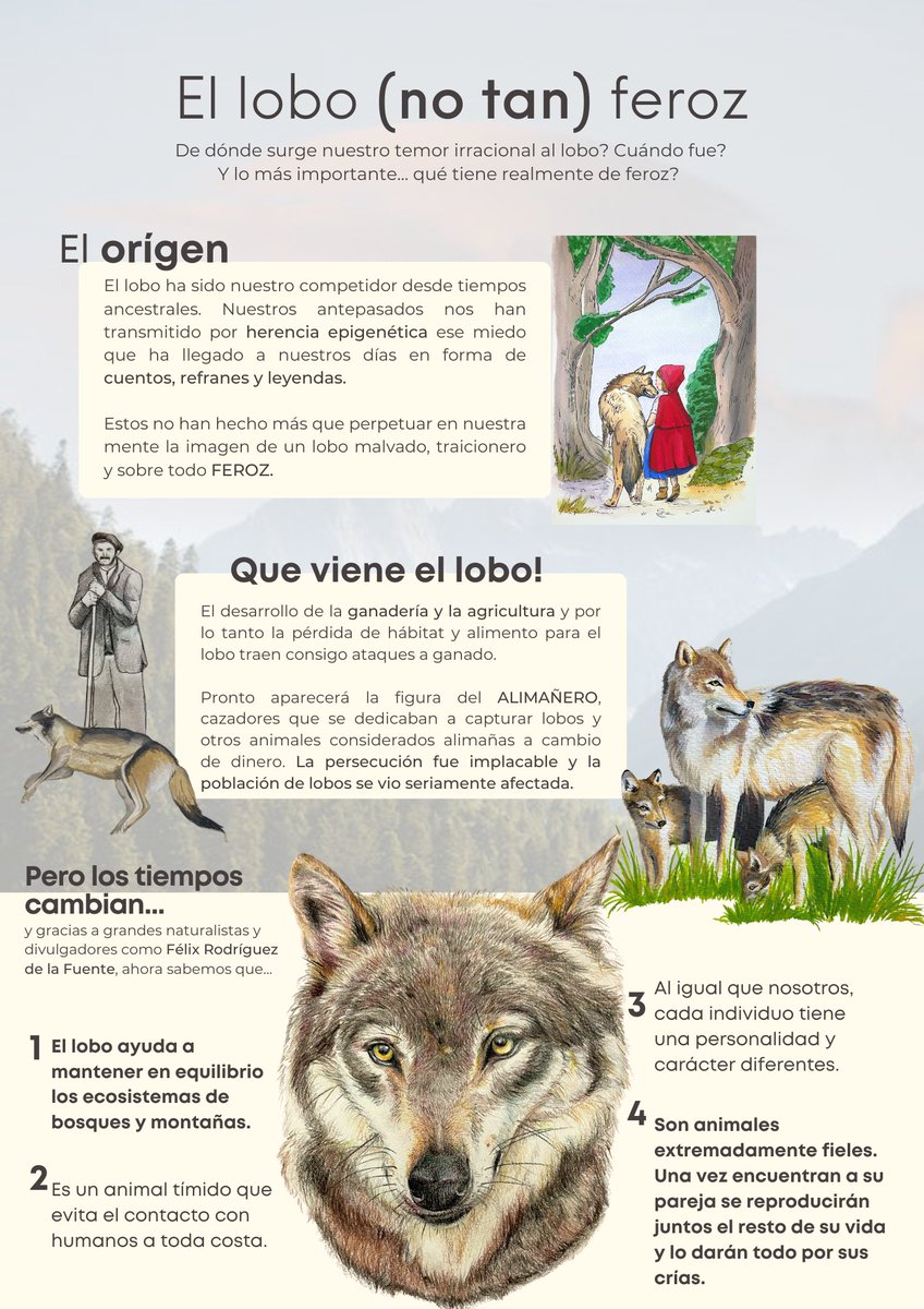 Póster sobre el miedo al lobo para el máster de ilustración científica naturalista.