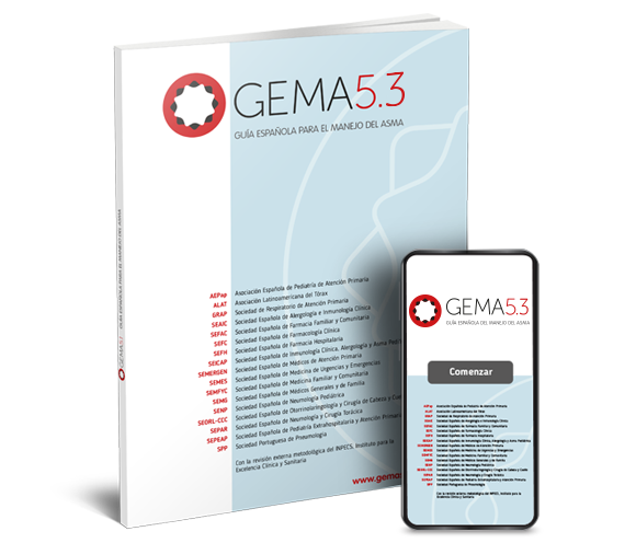 gemasma's tweet photo. Ya está disponible la #GEMA 5.3, la guía de manejo del #asma 🫁 en español referente a nivel mundial 
✔¡Descarga gratis en https://t.co/y635aWXCwr! 
Abrimos hilo con las principales novedades 👇
#DiaMundialDelAsma https://t.co/Pm8t78oy6v