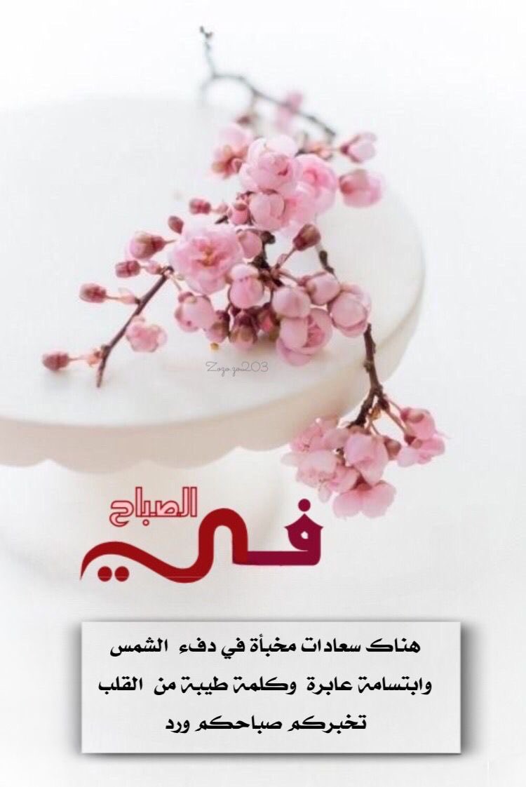 totohappy93's tweet photo. https://t.co/ns9CRqlA7m