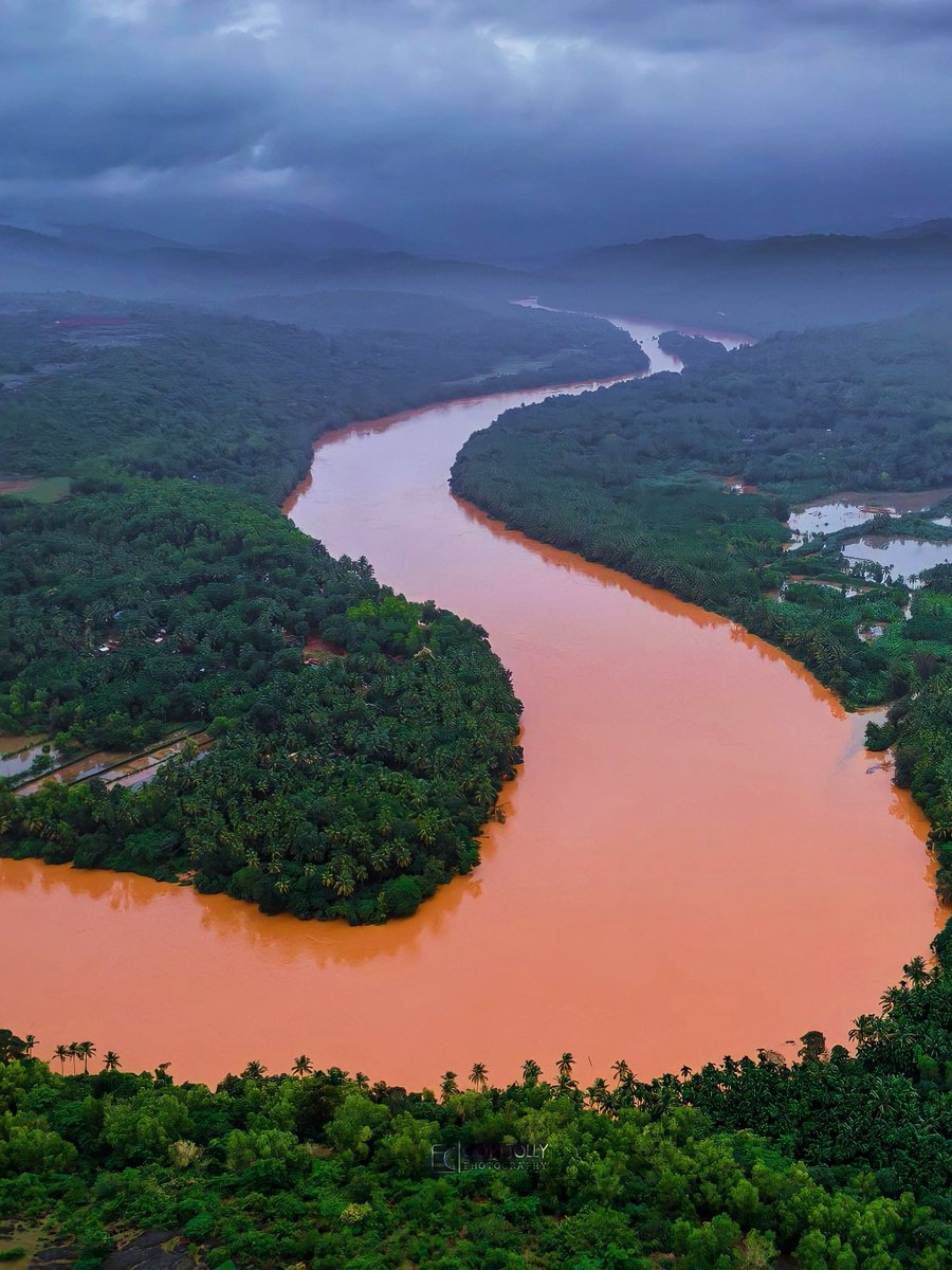 No.... it's not 'The AMAZON' ! 🇧🇷

She is 'The Virgin River - AGHANASHINI ' in Karnataka 🇮🇳
©️ <a href="/gopijolly/">gopijolly</a>